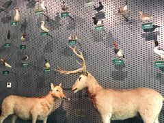 -中国湿地博物馆
