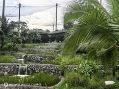 -新加坡飞禽公园