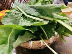 -攀枝花野菜铜火锅(万科凯德店)