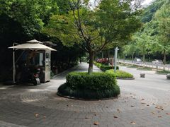 -云碧峰国家森林公园
