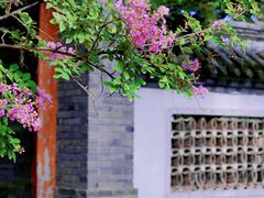 -国家植物园