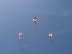 -潍坊滨海云门国际风筝放飞场