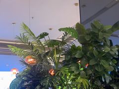 -辛香汇·现炒川菜(城北万象城店)