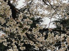 -靓靓蒸虾·头牌蒸虾(雪松路总店)