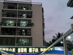 -墨脱石锅椰子鸡•香草鸭•东山羊(大东海店)