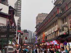 -黑色经典臭豆腐·湖南特产(坡子街店)