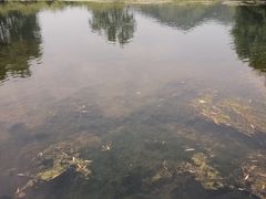 -杭州双溪漂流景区