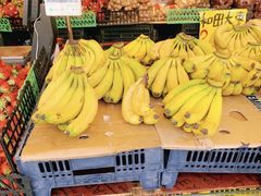 -家辉生鲜超市(东五路店)