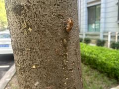 -上海交通大学(闵行校区)