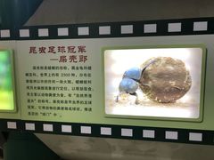 -上海昆虫博物馆