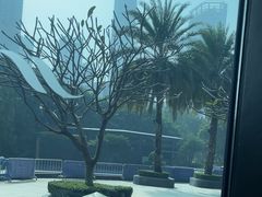 -蛇口希尔顿南海酒店·随轩中餐厅·粤菜