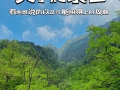 -泰山风景名胜区