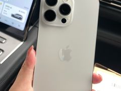 -Apple零售店(苏州店)