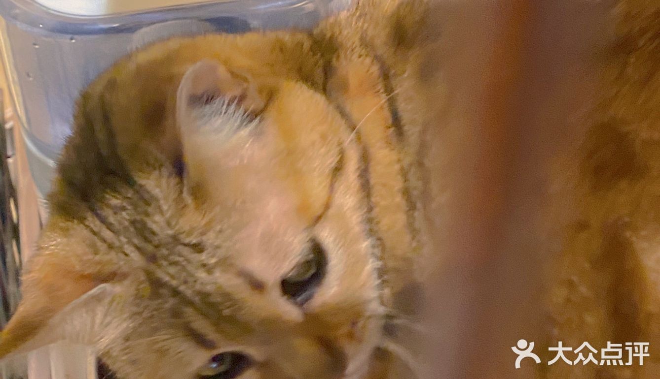 广州探店🖼|可以做卡通美甲的古着店💅🏻