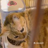 广州探店🖼|可以做卡通美甲的古着店💅🏻