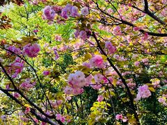 -苏州河梦清园环保主题公园