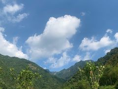 -安吉龙王山风景区