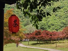 -五泄景区