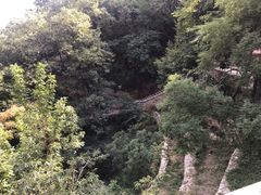 -北京上方山国家森林公园