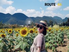 -云漫湖生态度假公园