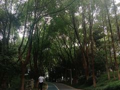 -新洲生态园