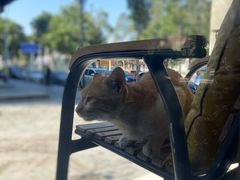 -251#coffee roasters(沿河东路店)