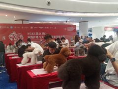 -深圳龙华星河COCO City(民治店)