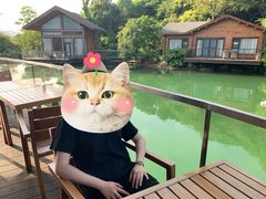 -杭州开元森泊度假乐园