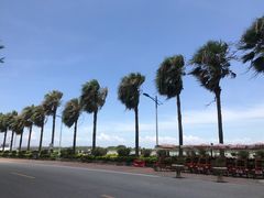 -南沙十九涌渔人码头-南门