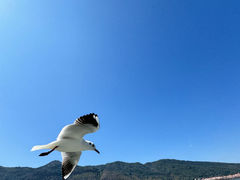 -海埂大坝