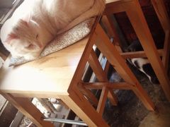 iphone_upload_pic-MIKAKU(万达广场上海宝山店)