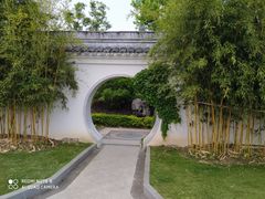 -上海共青森林公园