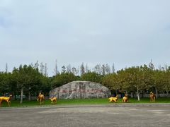 -上海海湾国家森林公园