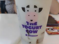 -一只酸奶牛(八一路店)