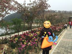 -绵阳盛世樱花悠乐谷