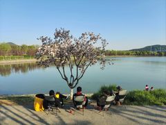 -羊山湖公园