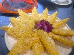 -清真·舒迩布炕锅王·高原美食文化(青海总店)
