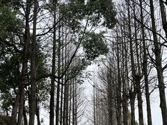-良渚古城遗址公园