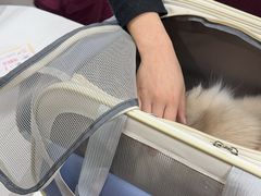 -中农大我爱我爱动物医院·核磁CT·猫病·24小时夜诊中心(石佛营店)