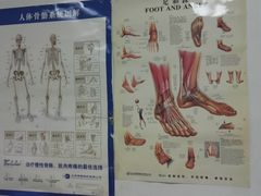 -福建医科大学附属第一医院(茶亭院区)