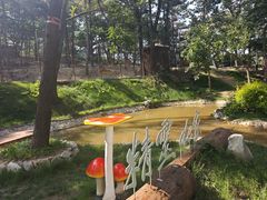 -沂蒙山旅游区云蒙景区(蒙山国家森林公园)