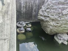 -方山风景区定林寺