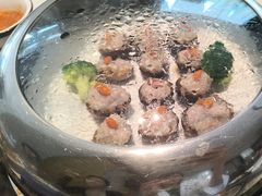 -天鹰观渔(梦园店)