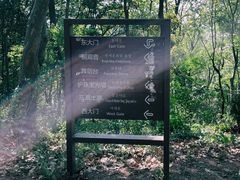 -上海佘山国家森林公园天马山园