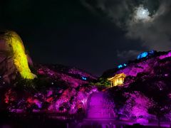 -印象普陀
