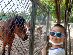 -西安秦岭野生动物园