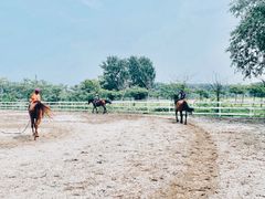 -月河湾马术俱乐部(朝阳店)