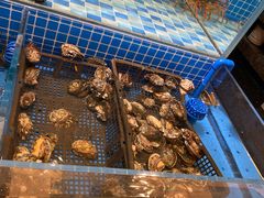 -蓝钻·国际美食海鲜自助百汇(西直门店)