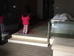 -碧桂园凤凰城酒店(南京店)