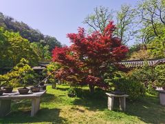 -焦山风景区